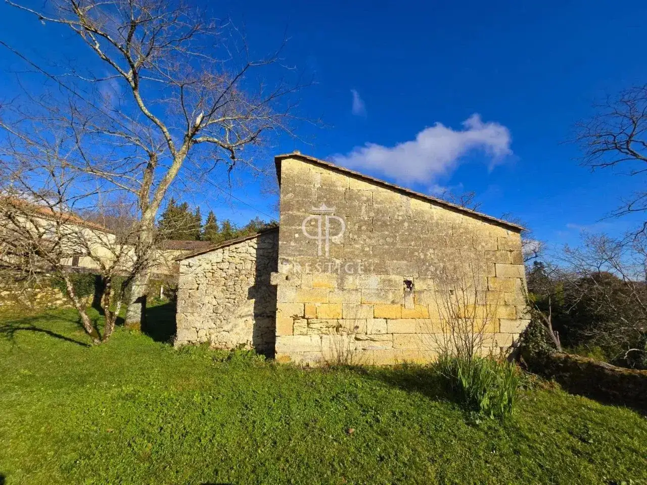 Castle 232m² in France, Bran. Priced at 750000€ rent photo-10