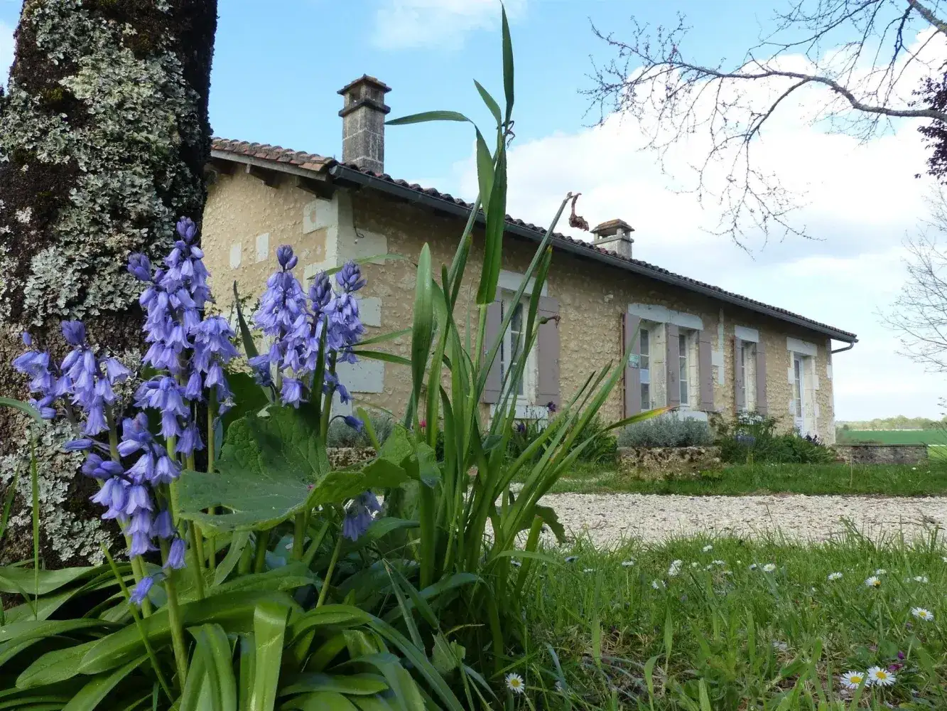 Castle 220m² in France, Bardenac. Priced at 472500€ rent photo-7