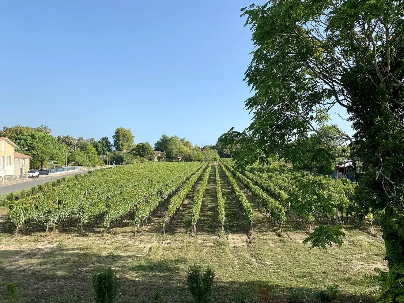 Castle 569m² in France, St. Emilion. Priced at 840000€ rent photo-6