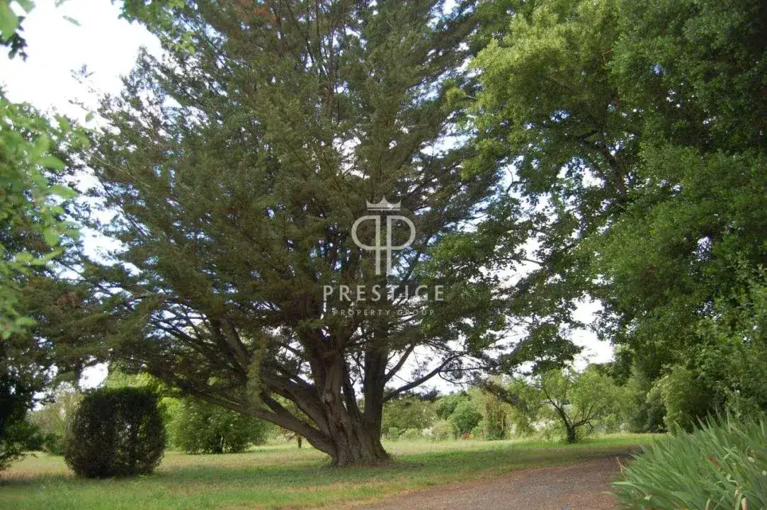 Castle 460m² in France, Soumur. Priced at 1050000€ rent photo-2