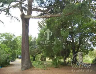 Buy in France for 1050000€