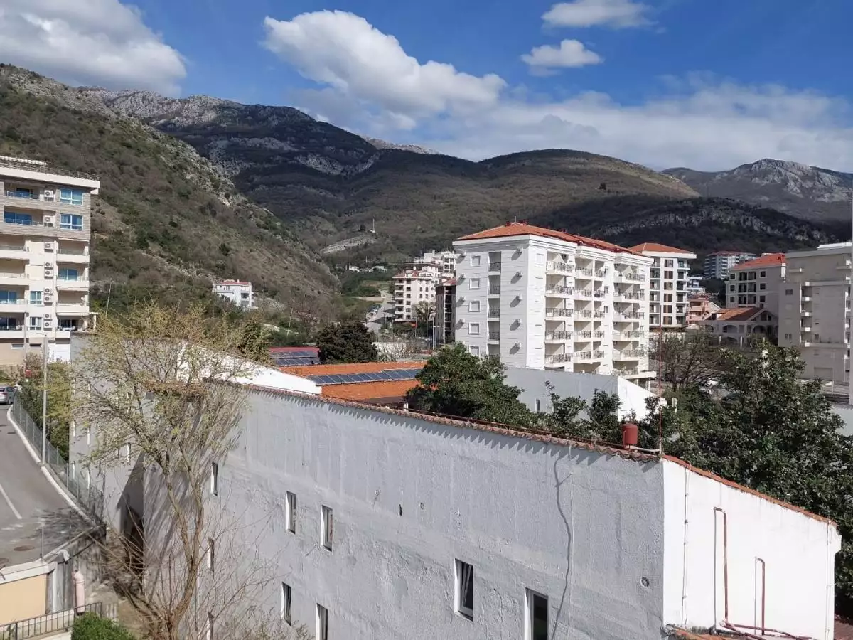 Flat 54m² in Montenegro, Becici. Priced at 150000€ rent photo-7