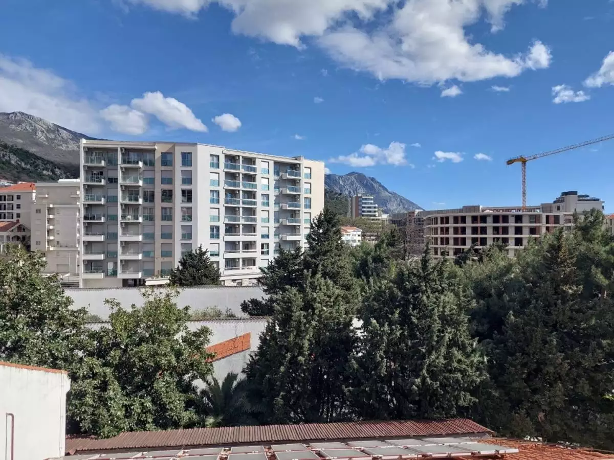 Flat 54m² in Montenegro, Becici. Priced at 150000€ rent photo-8