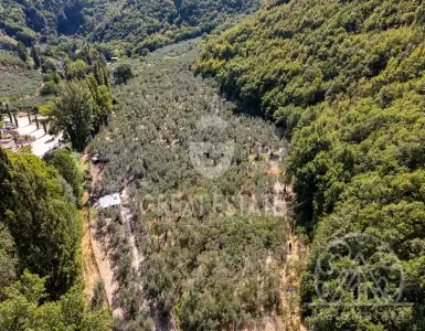 Buy in Italy for 2450000€