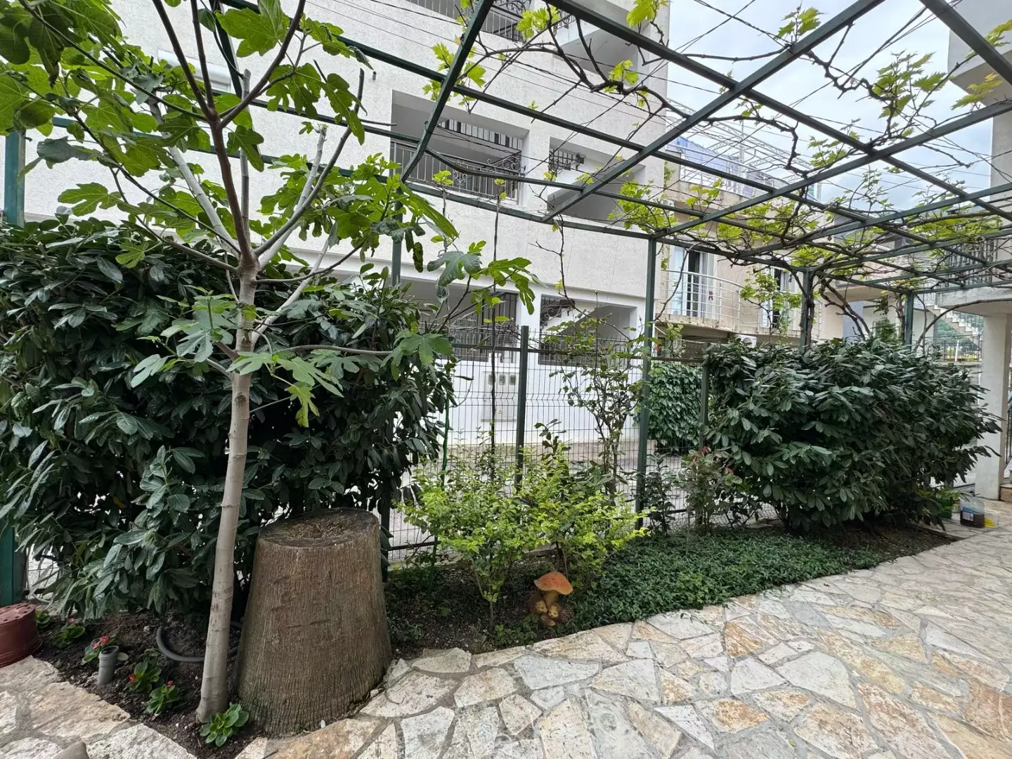 House 180m² in Montenegro, Sutomore. Priced at 270000€ rent photo-7