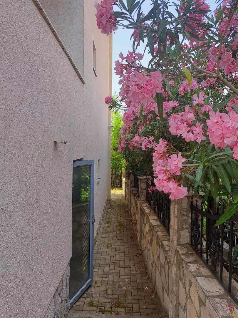 Flat 28m² in Montenegro, Utjeha. Priced at 65000€ rent photo-9