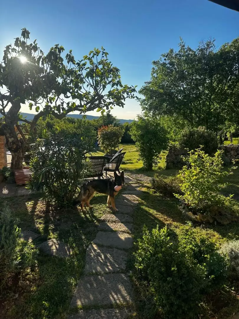 Villa 360m² in Croatia, Buzet. Priced at 560000€ rent photo-17