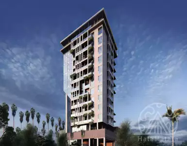 Buy in UAE for 291361$