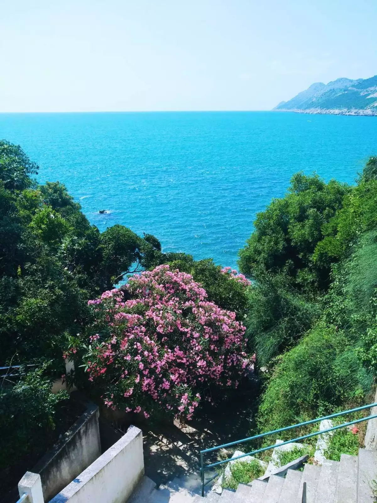 House 290m² in Montenegro, Dobra Voda. Priced at 425000€ rent photo-5