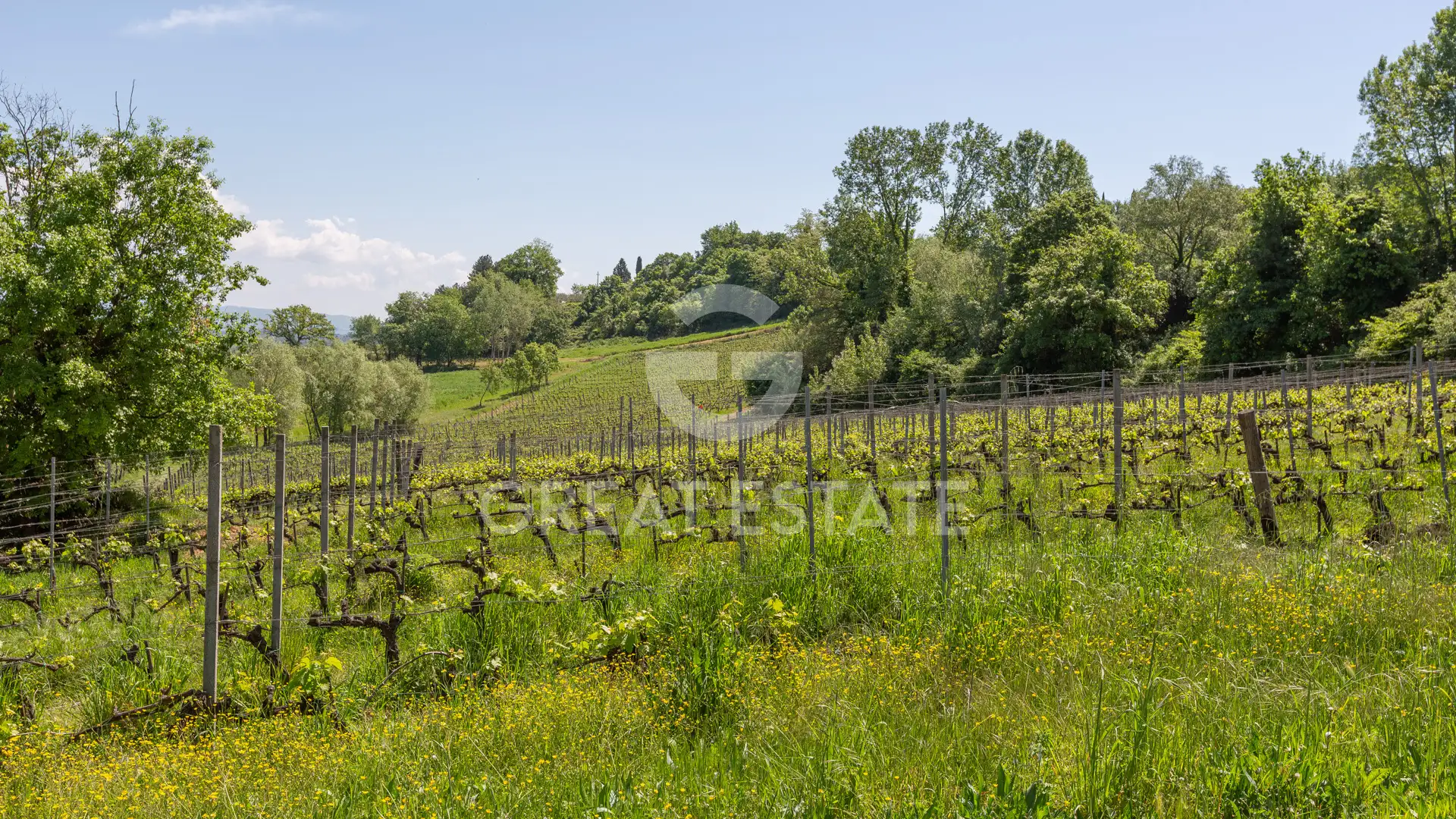 House 1201m² in Italy, Siena. Priced at 4900000€ rent photo-2