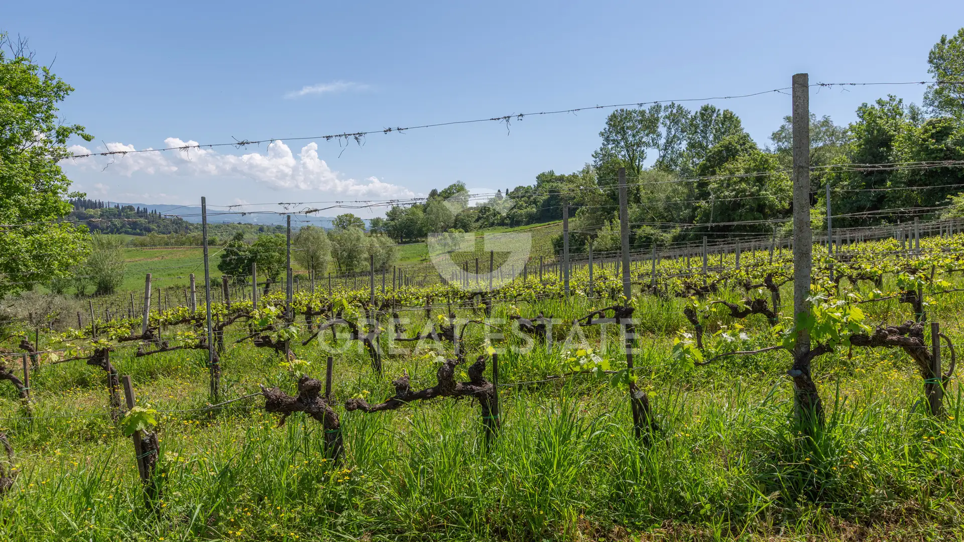 House 1201m² in Italy, Siena. Priced at 4900000€ rent photo-4