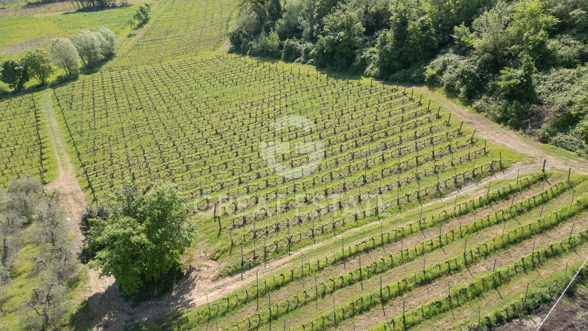 House 1201m² in Italy, Siena. Priced at 4900000€ rent photo-5