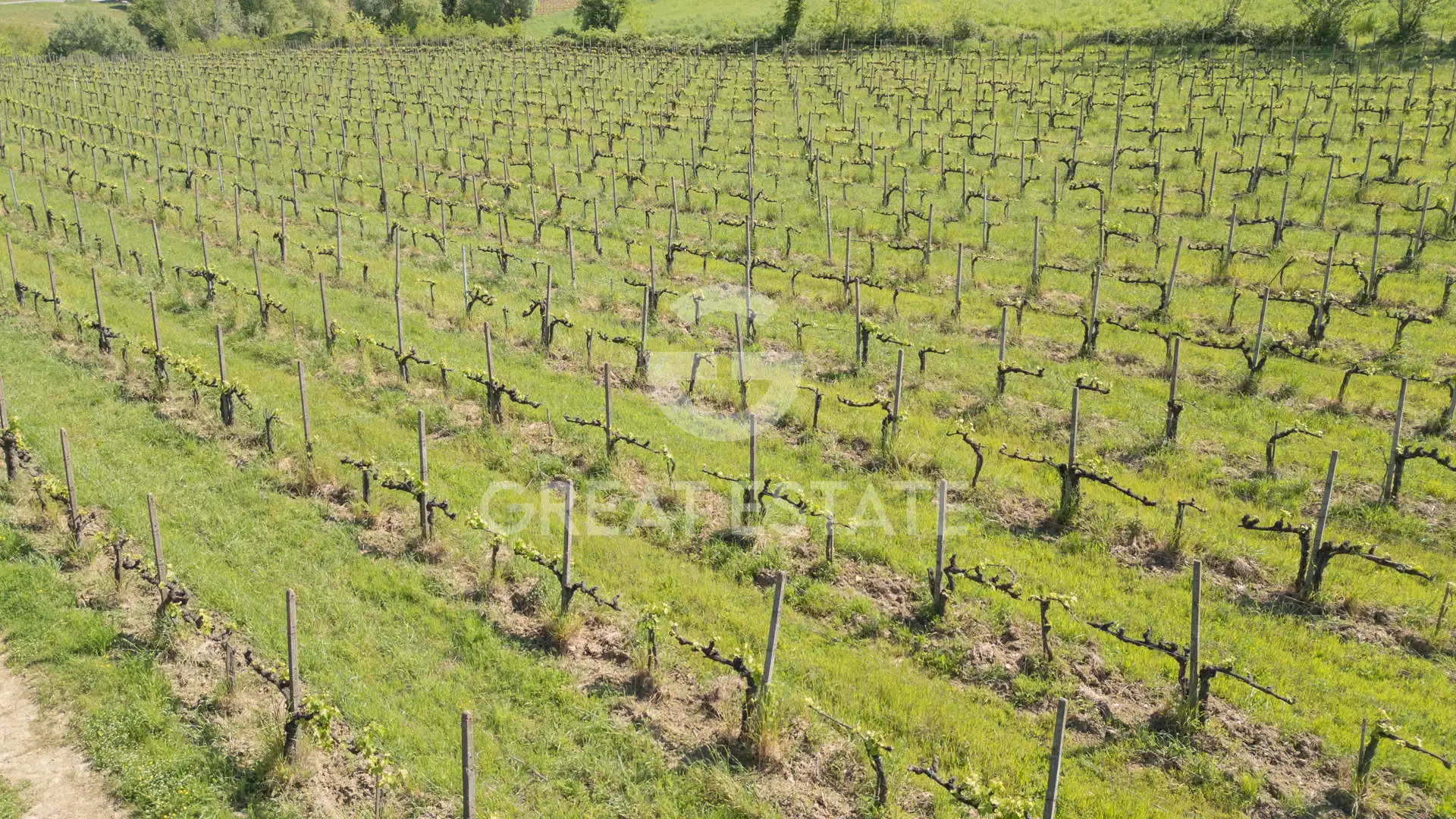 House 1201m² in Italy, Siena. Priced at 4900000€ rent photo-6