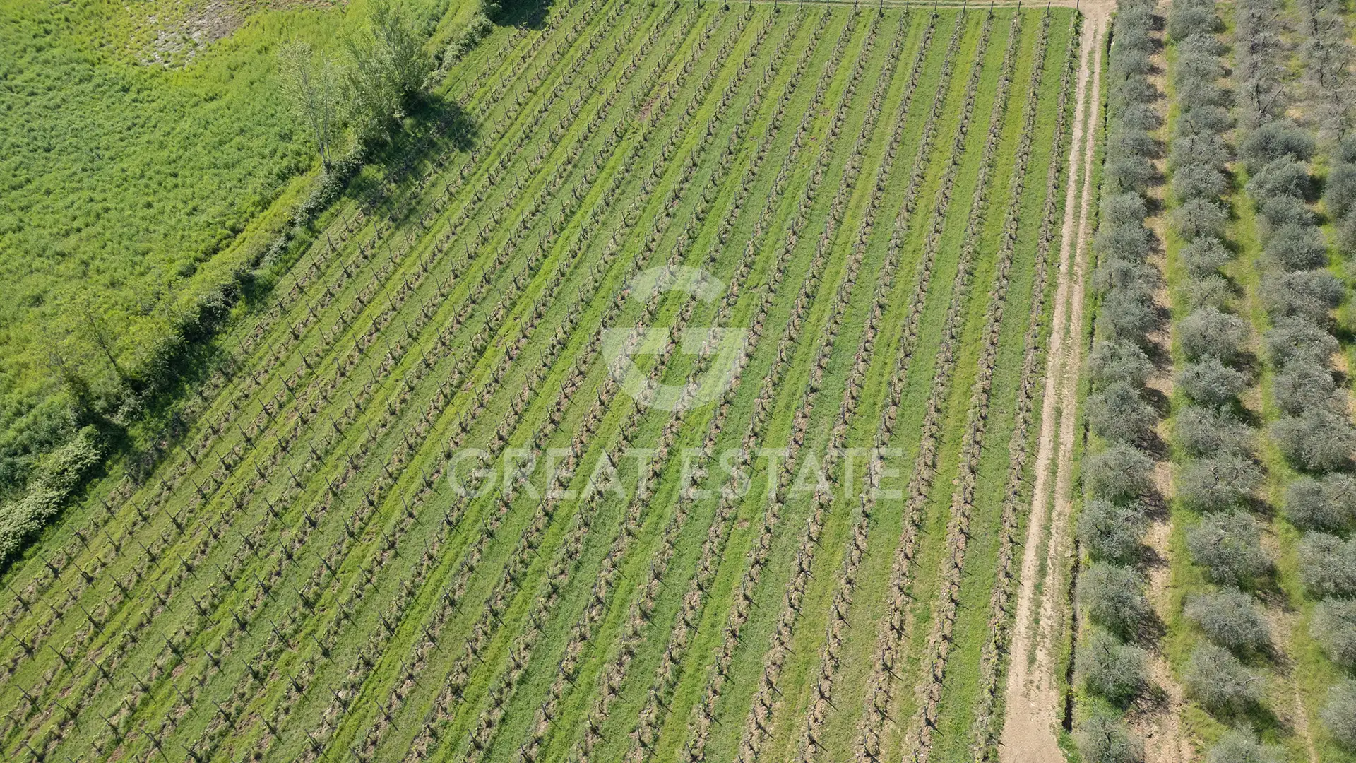 House 1201m² in Italy, Siena. Priced at 4900000€ rent photo-7