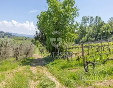 Buy in Italy for 4900000€