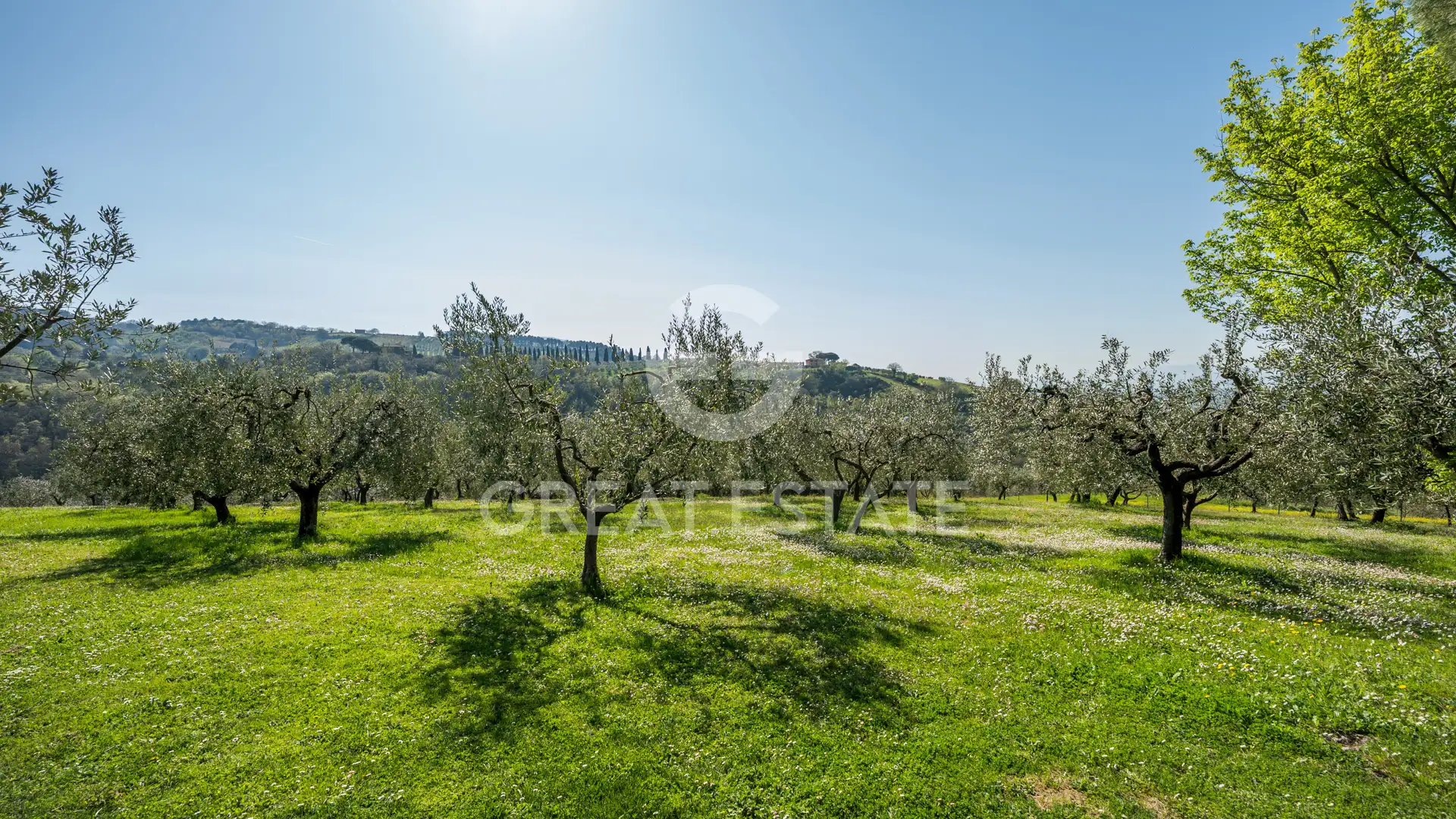 House 625m² in Italy, Perugia. Priced at 2200000€ rent photo-10