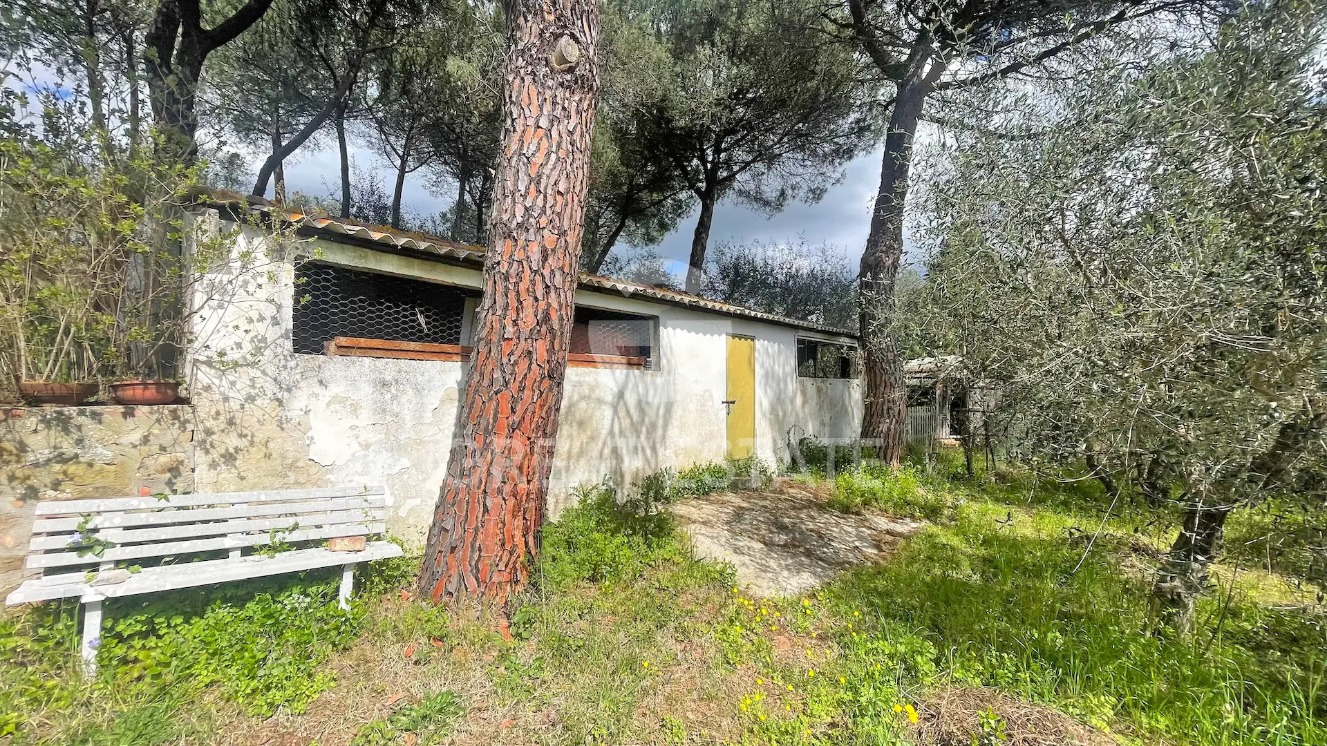 House 366m² in Italy, Siena. Priced at 650000€ rent photo-10