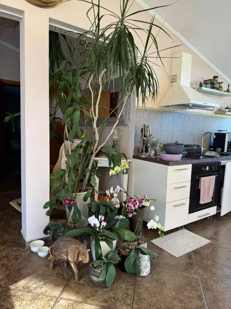 House 302m² in Montenegro, Bar. Priced at 365000€ rent photo-35