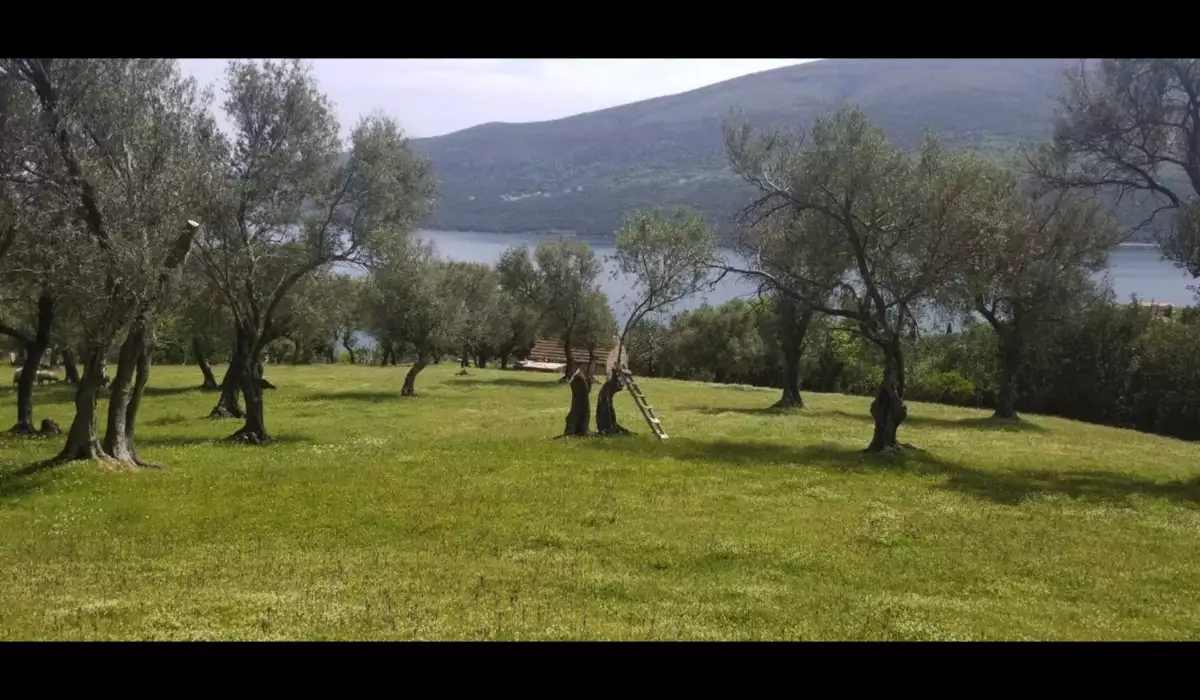 Land 1m² in Montenegro, Denovici. Priced at 2099000€ rent photo-1