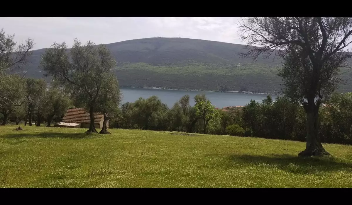 Land 1m² in Montenegro, Denovici. Priced at 2099000€ rent photo-2