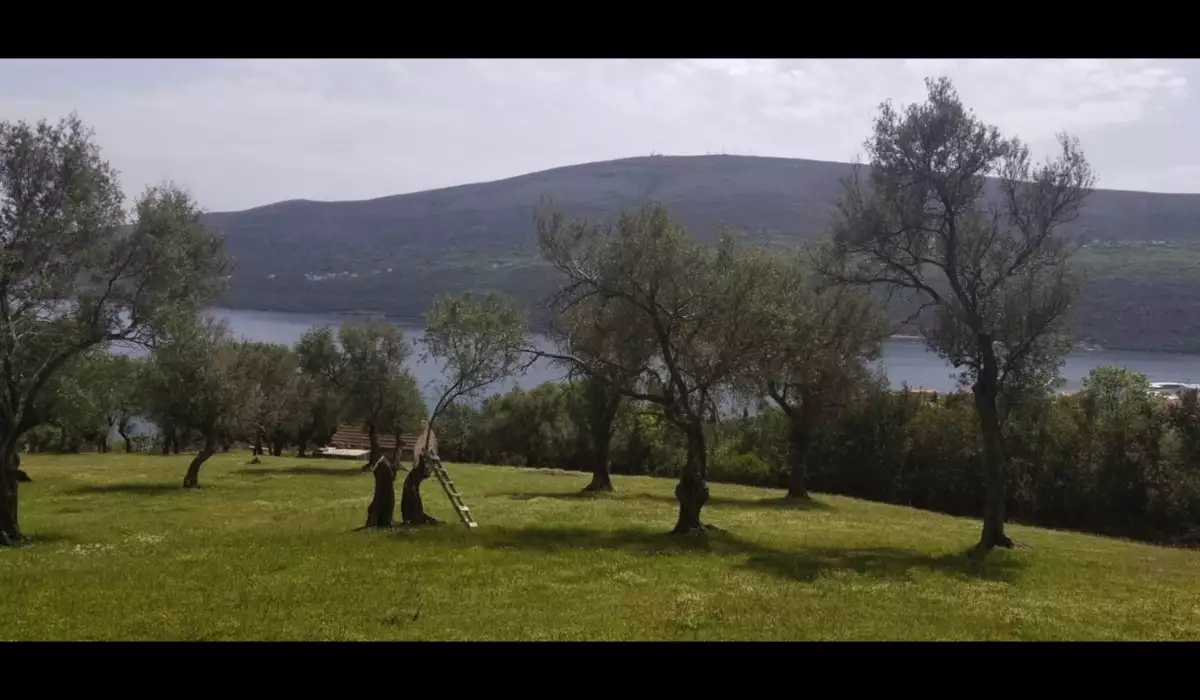 Land 1m² in Montenegro, Denovici. Priced at 2099000€ rent photo-4