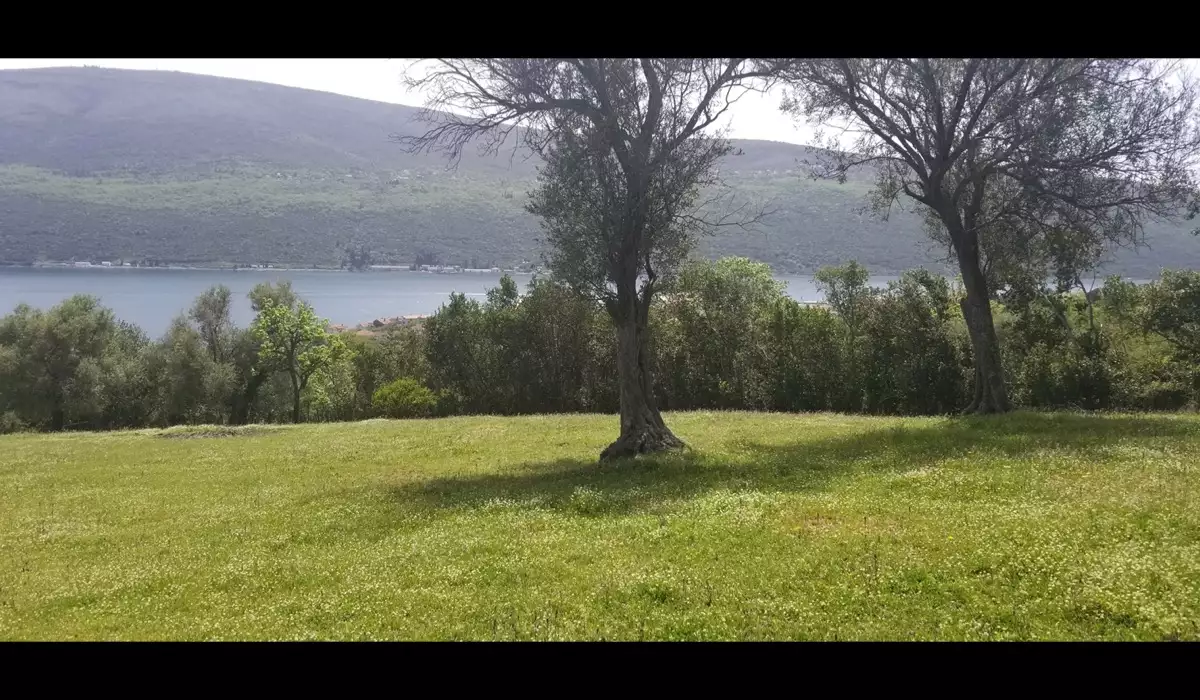 Land 1m² in Montenegro, Denovici. Priced at 2099000€ rent photo-5