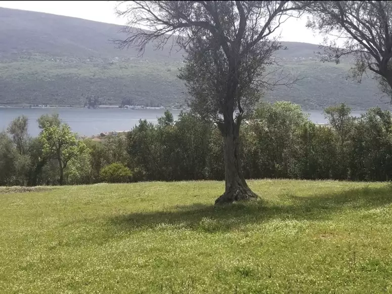 Land 1m² in Montenegro, Denovici. Priced at 2099000€ rent photo-2
