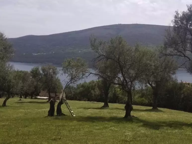 Land 1m² in Montenegro, Denovici. Priced at 2099000€ rent photo-3