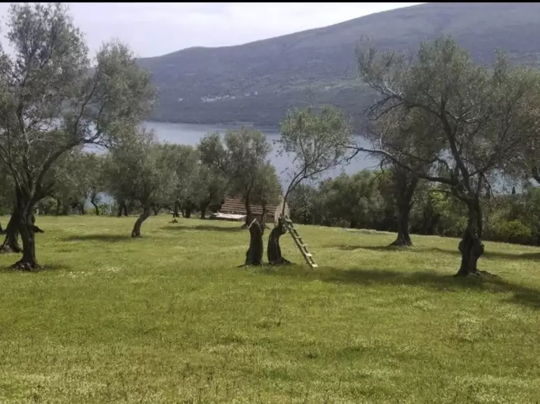 Land 1m² in Montenegro, Denovici. Priced at 2099000€ rent photo-6