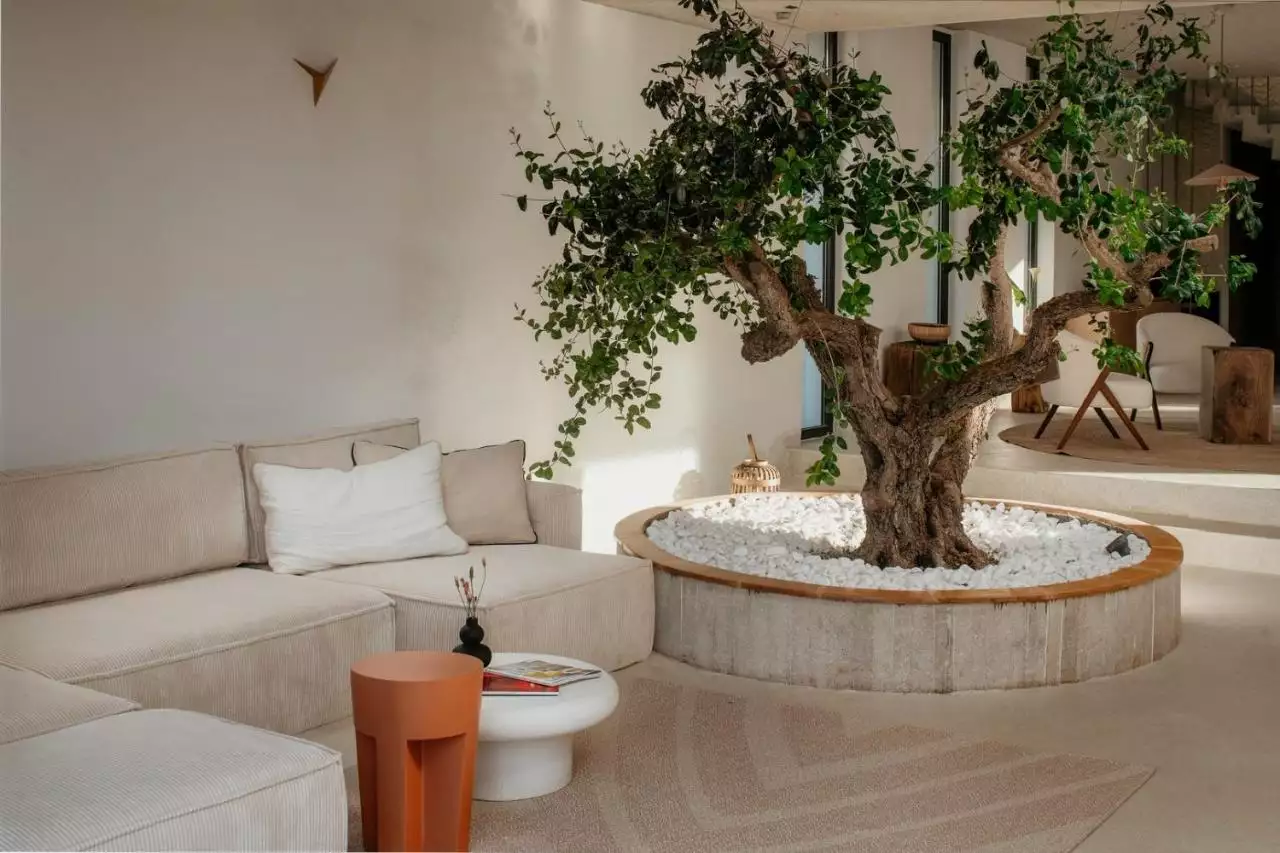 Villa 270m² in Croatia, Solta. Priced at 2000000€ rent photo-18