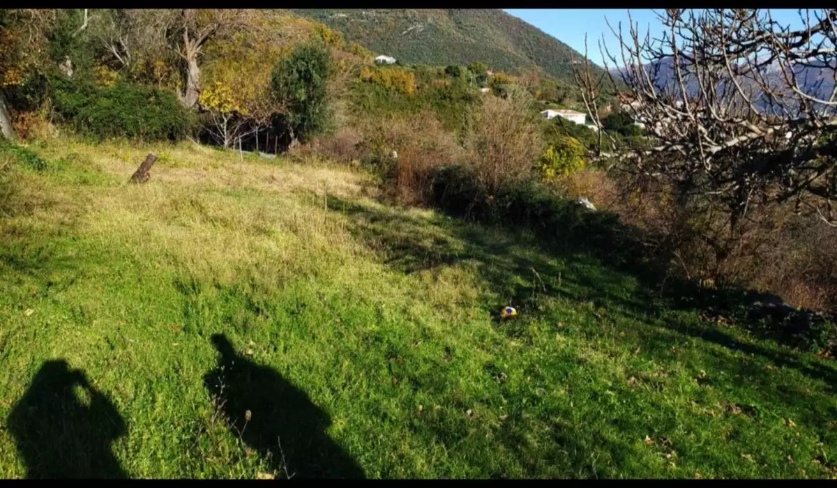 Land 1m² in Montenegro, Denovici. Priced at 250000€ rent photo-4