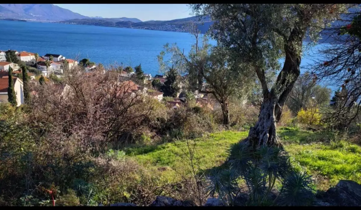 Land 1m² in Montenegro, Denovici. Priced at 250000€ rent photo-6