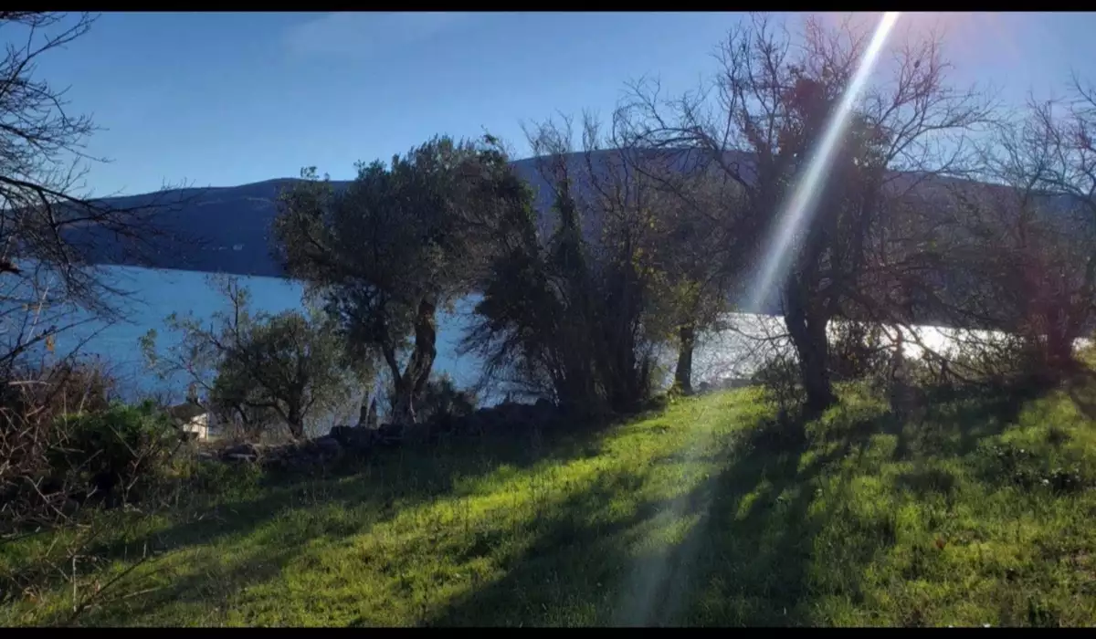 Land 1m² in Montenegro, Denovici. Priced at 250000€ rent photo-8