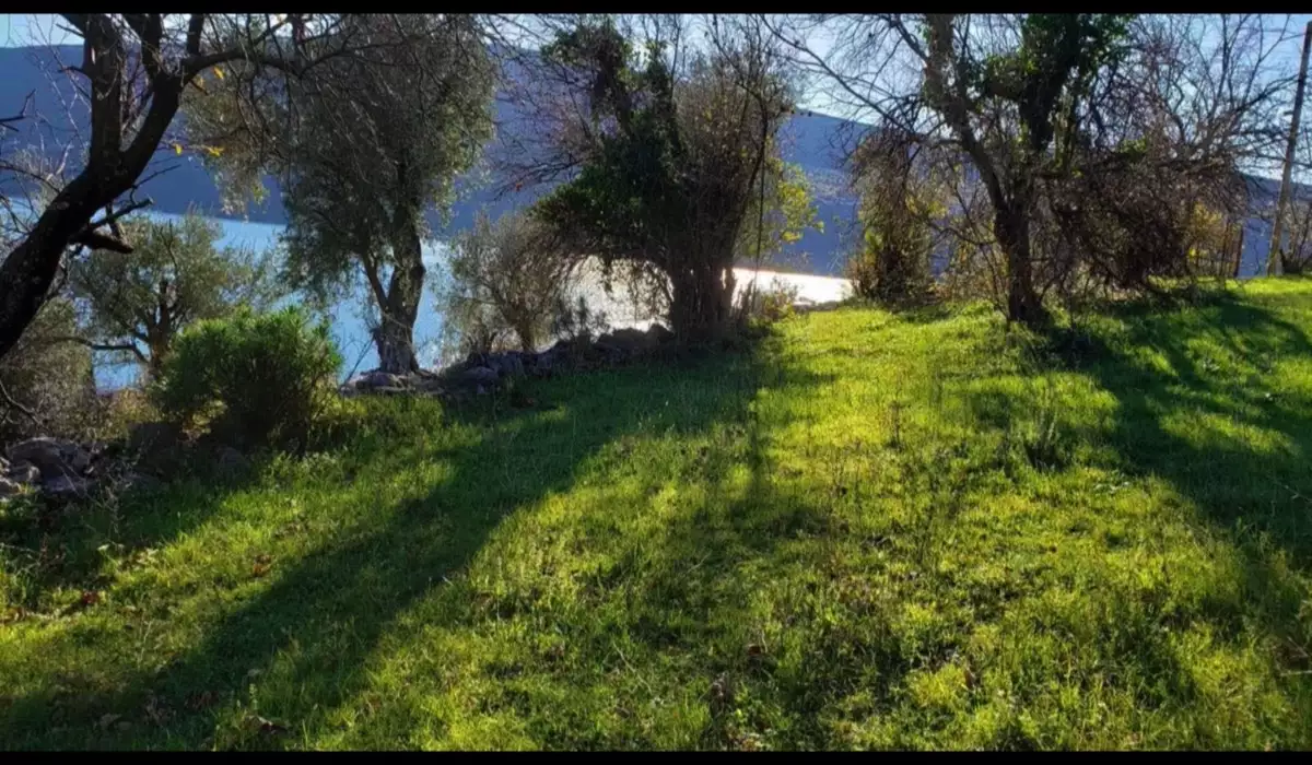 Land 1m² in Montenegro, Denovici. Priced at 250000€ rent photo-9