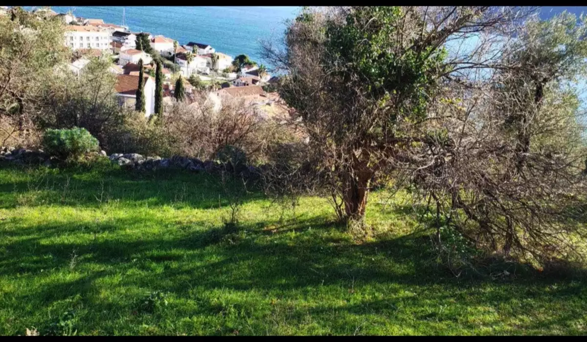 Land 1m² in Montenegro, Denovici. Priced at 250000€ rent photo-10