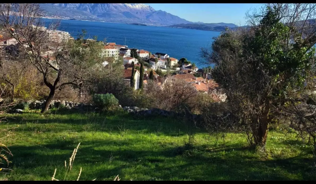 Land 1m² in Montenegro, Denovici. Priced at 250000€ rent photo-11