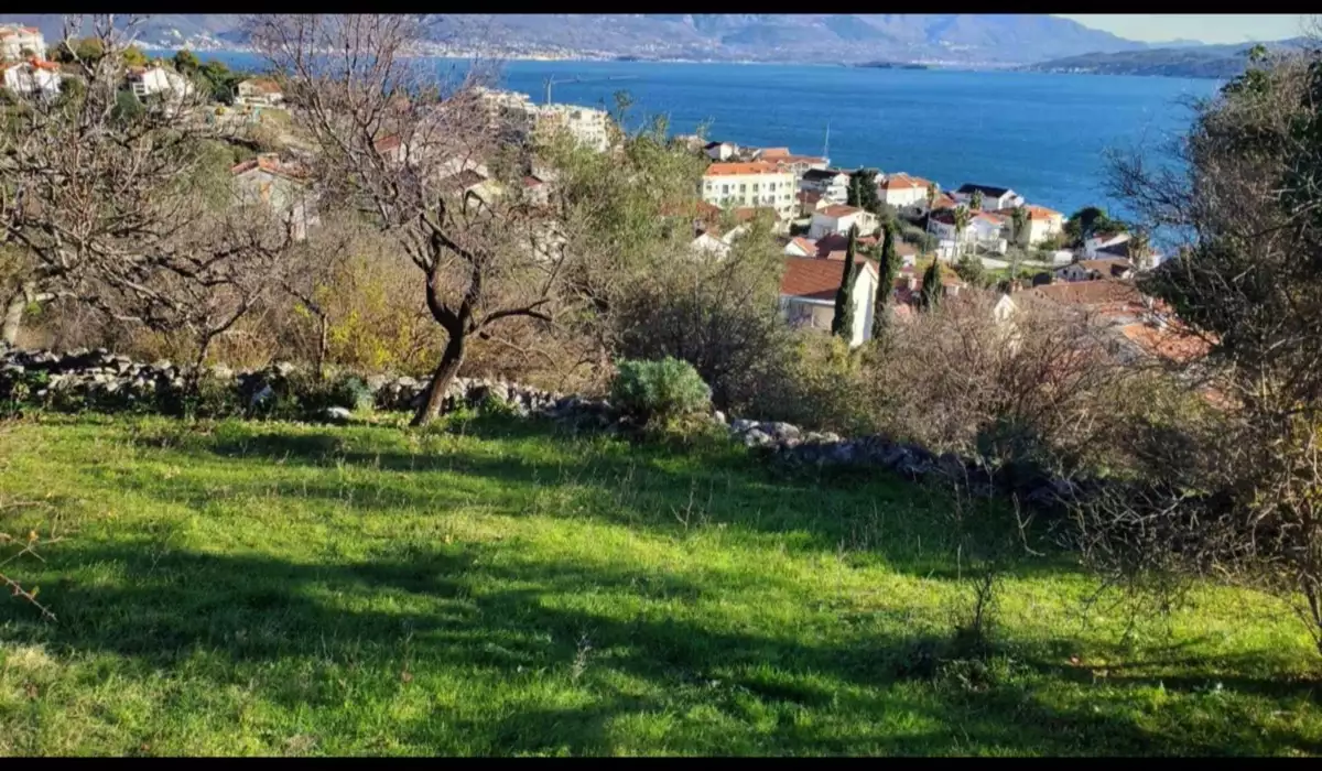 Land 1m² in Montenegro, Denovici. Priced at 250000€ rent photo-12