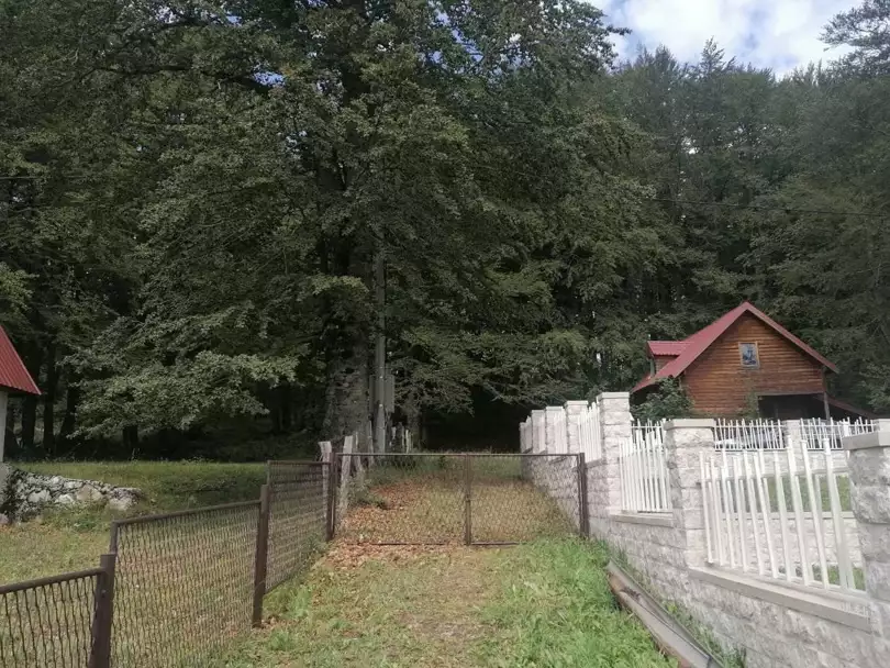 House 70m² in Montenegro, Zabljak. Priced at 149000€ rent photo-4