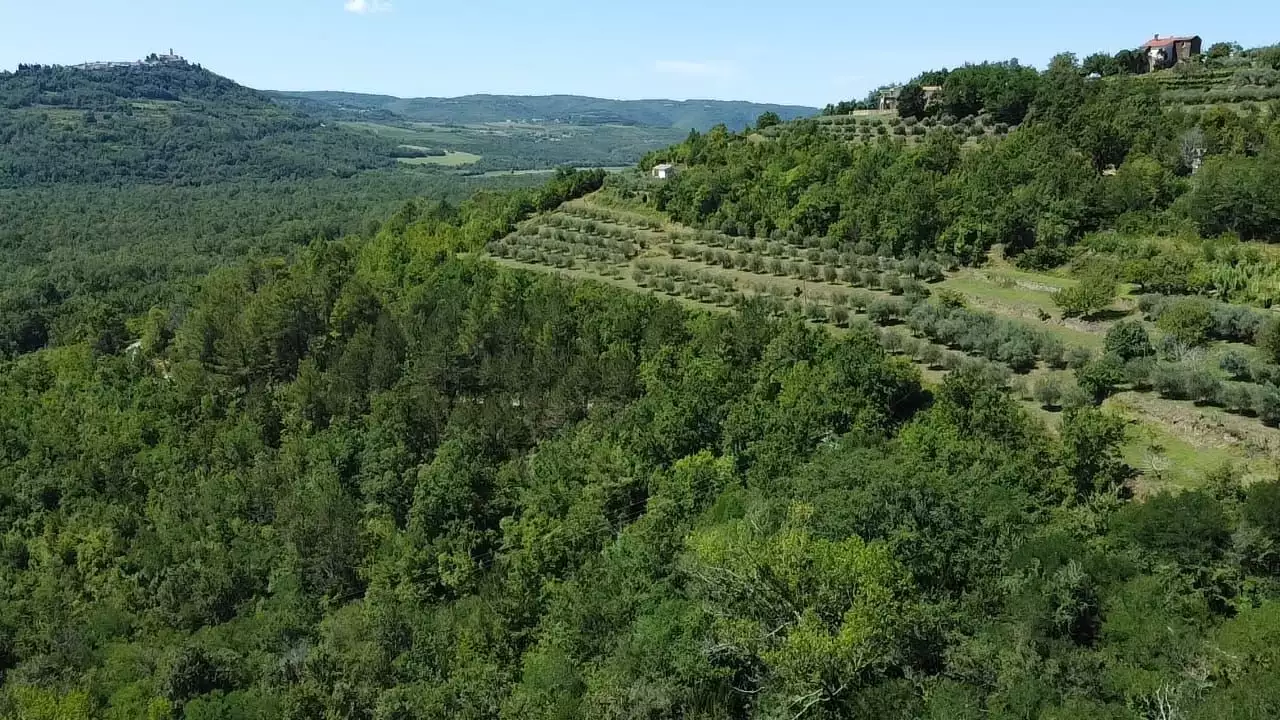 Villa 465m² in Croatia, Motovun. Priced at 780000€ rent photo-12