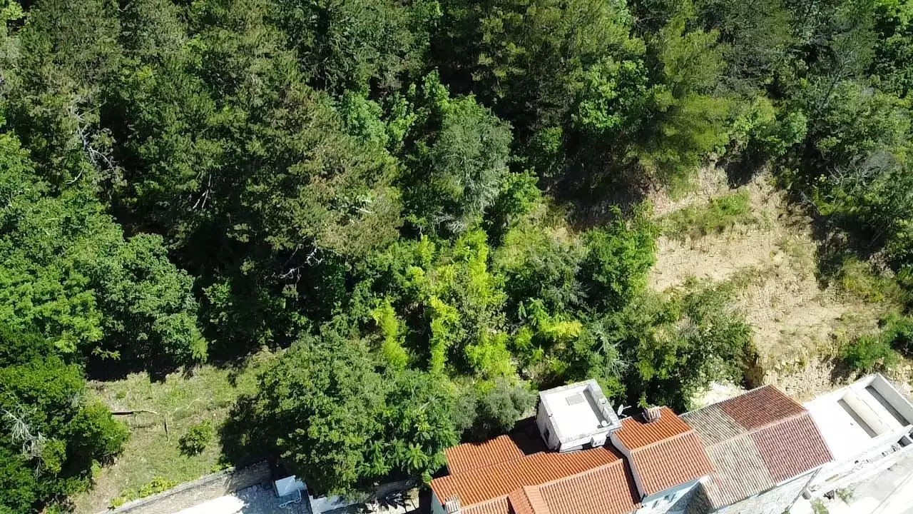 Villa 465m² in Croatia, Motovun. Priced at 780000€ rent photo-13