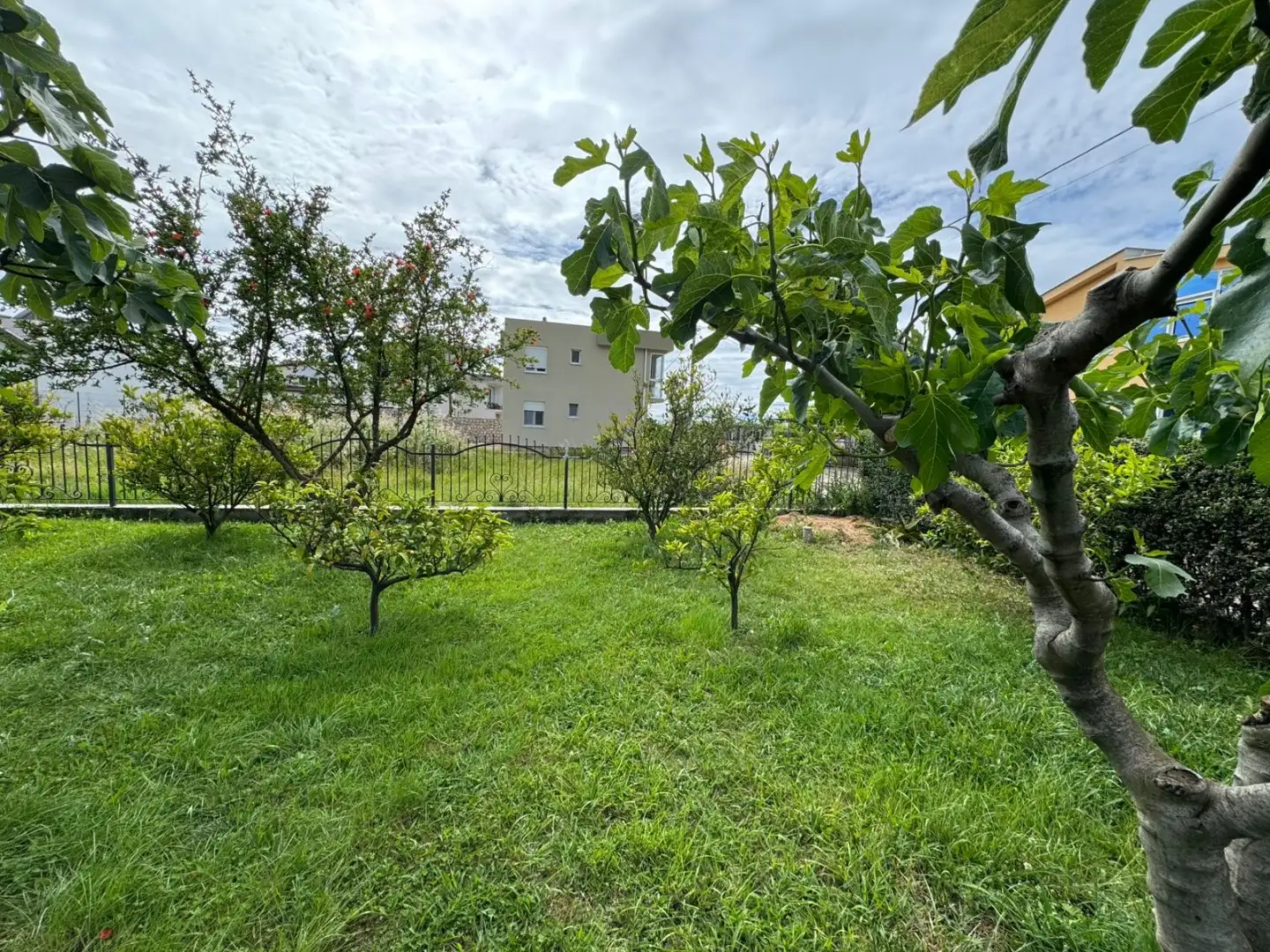 House 153m² in Montenegro, Bar. Priced at 300000€ rent photo-7
