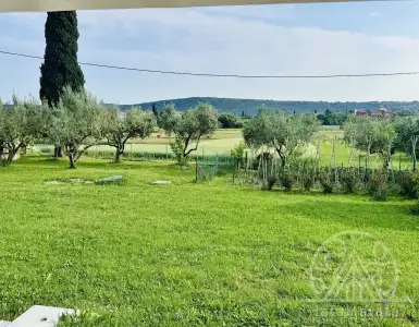 Buy in Slovenia for 695000€
