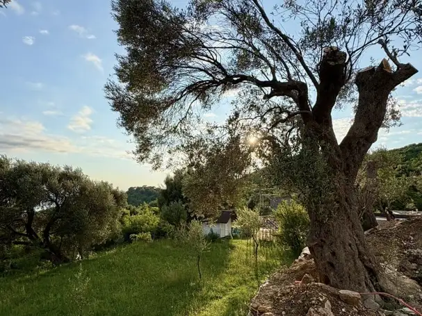 House 225m² in Montenegro, Susanj. Priced at 400000€ rent photo-10