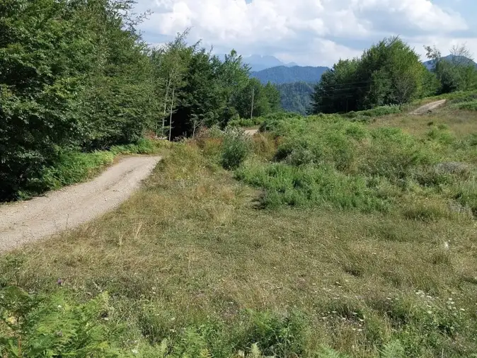 Land 1m² in Montenegro, Kolasin. Priced at 105000€ rent photo-1