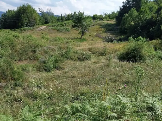 Land 1m² in Montenegro, Kolasin. Priced at 105000€ rent photo-2