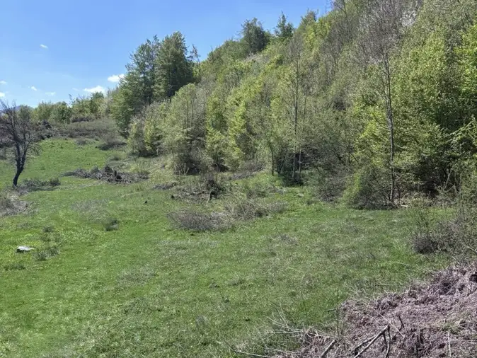 Land 1m² in Montenegro, Kolasin. Priced at 105000€ rent photo-3