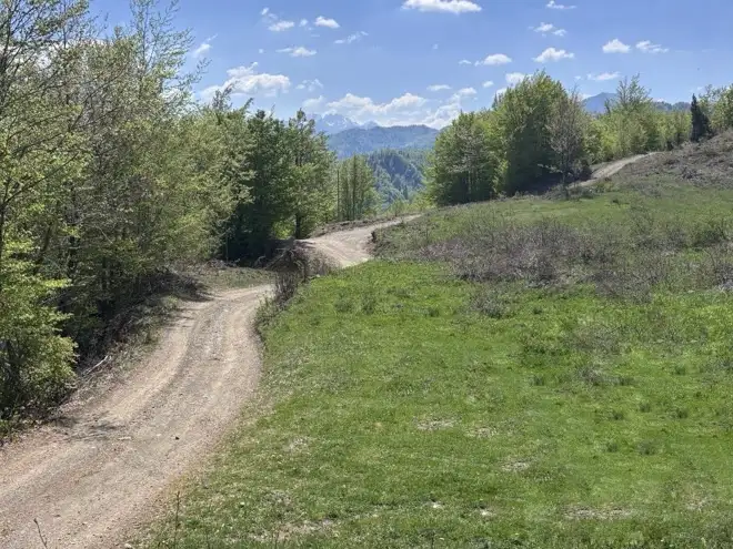 Land 1m² in Montenegro, Kolasin. Priced at 105000€ rent photo-4