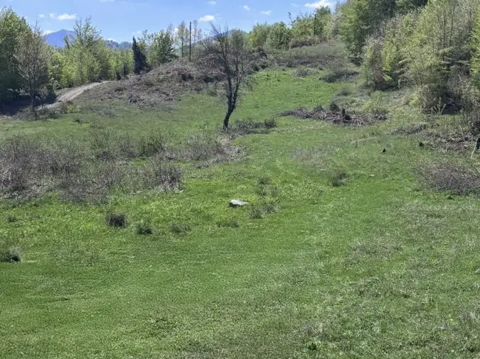 Land 1m² in Montenegro, Kolasin. Priced at 105000€ rent photo-5