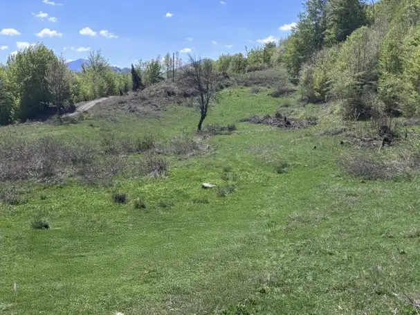 Land 1m² in Montenegro, Kolasin. Priced at 105000€ rent photo-6