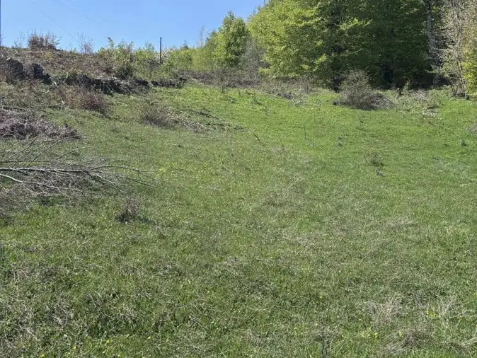 Land 1m² in Montenegro, Kolasin. Priced at 105000€ rent photo-7